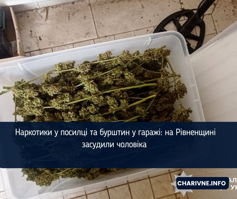 Наркотики у посилці та бурштин у гаражі: на Рівненщині засудили чоловіка 