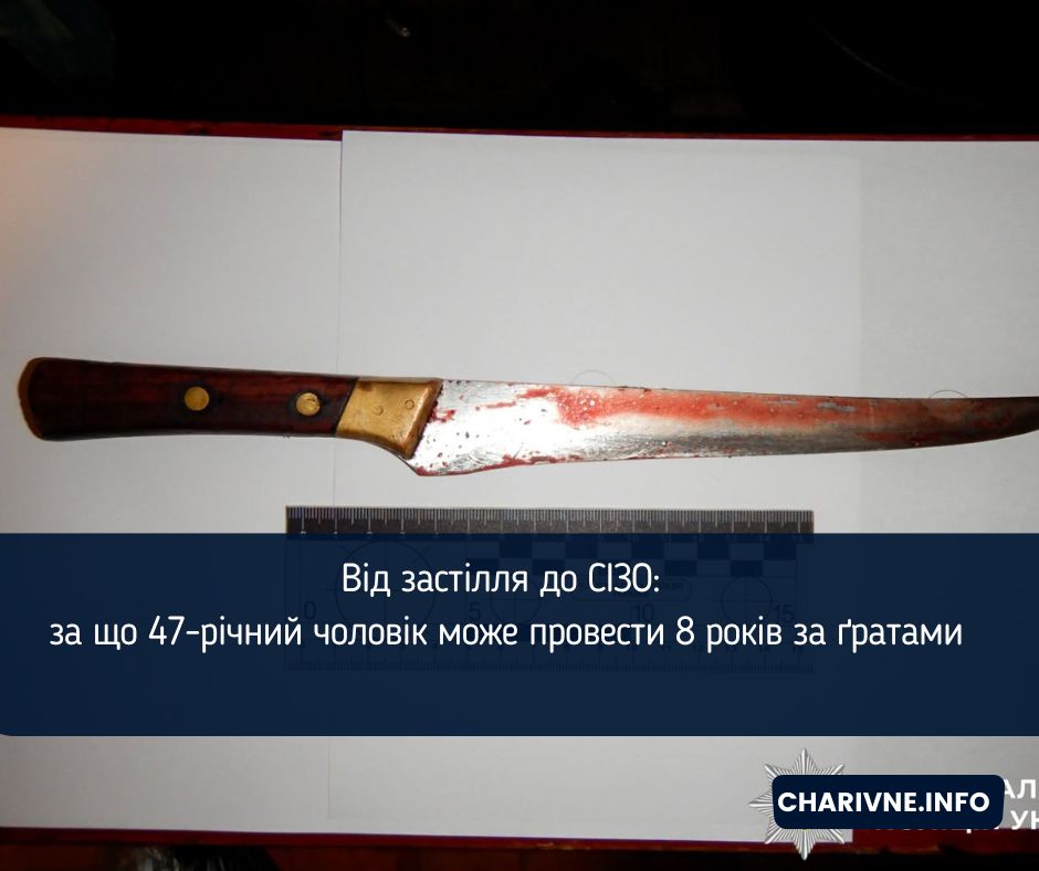Від застілля до СІЗО: за що 47-річний чоловік може провести 8 років за ґратами