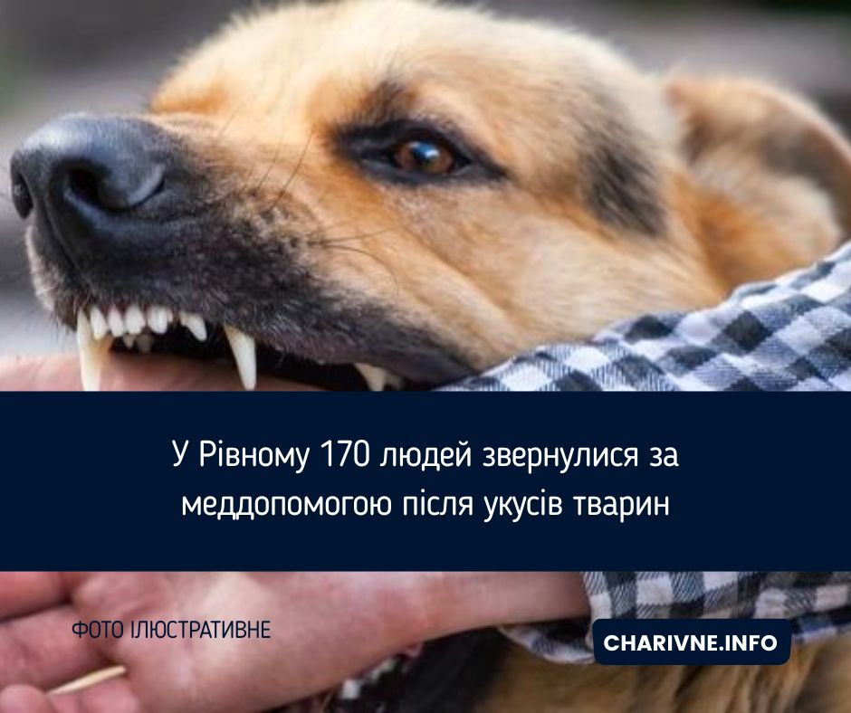 Фото ілюстративне