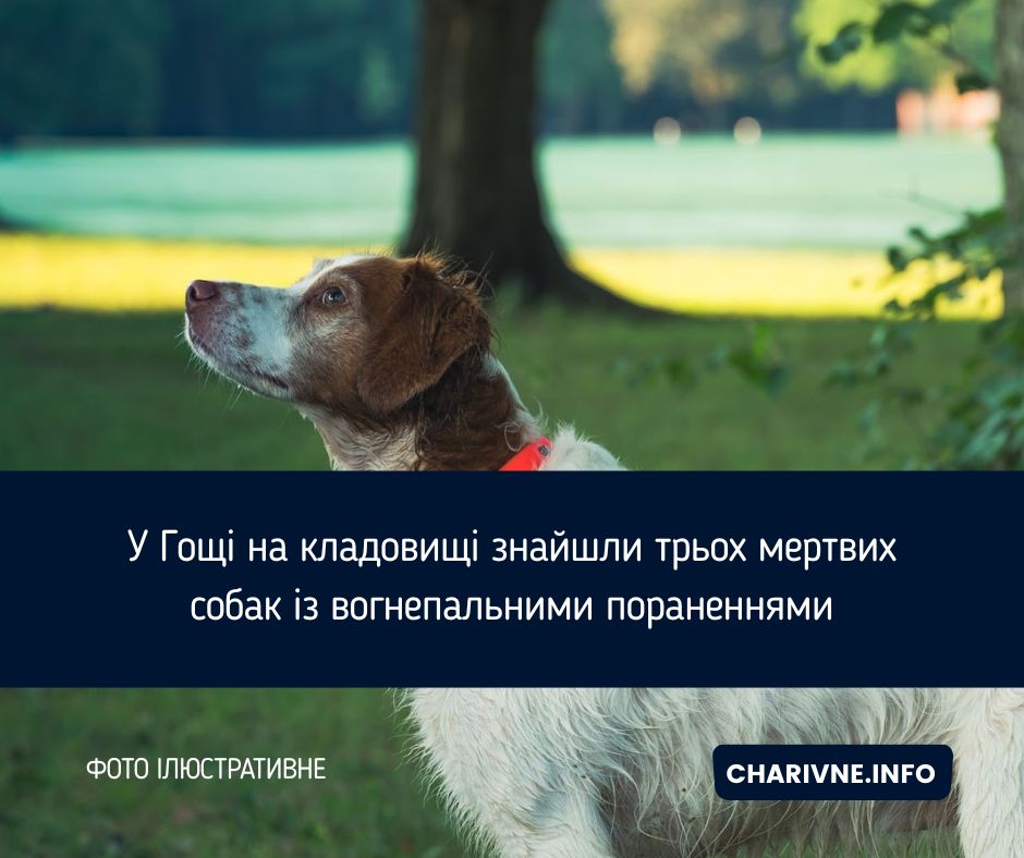 Фото ілюстративне