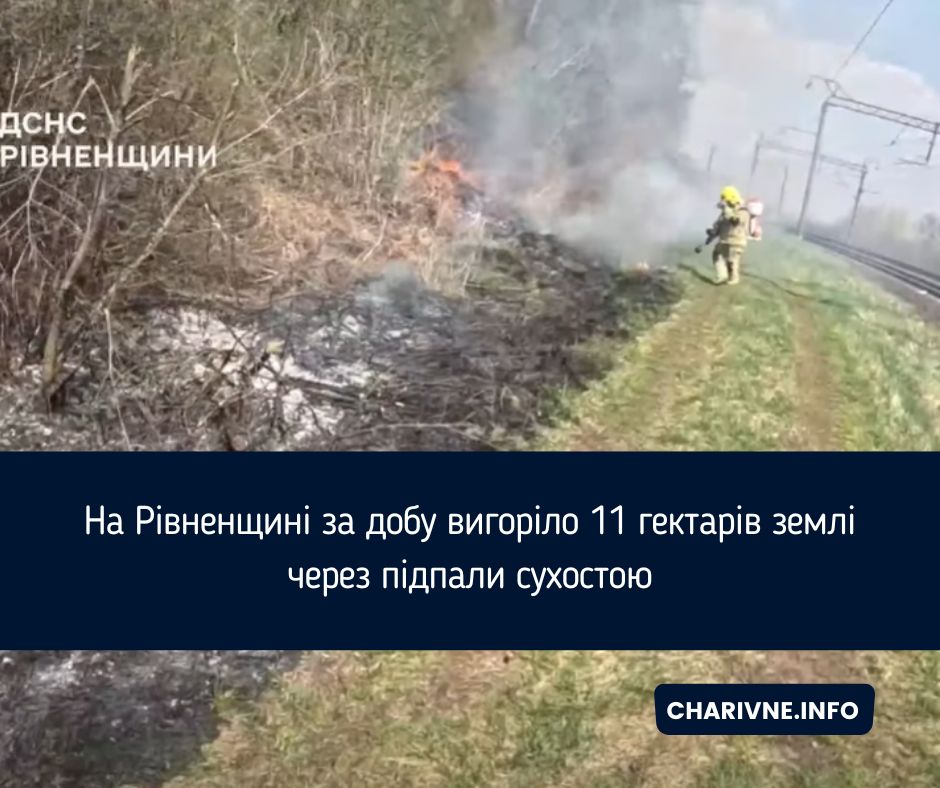 Фото ілюстративне