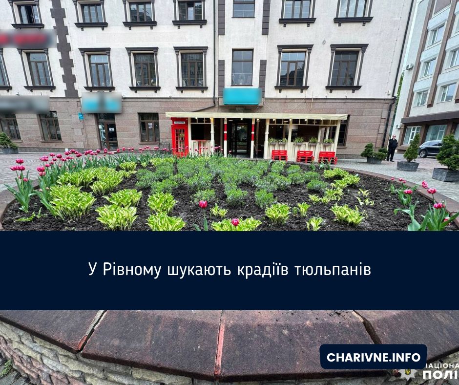 Фото ілюстративне