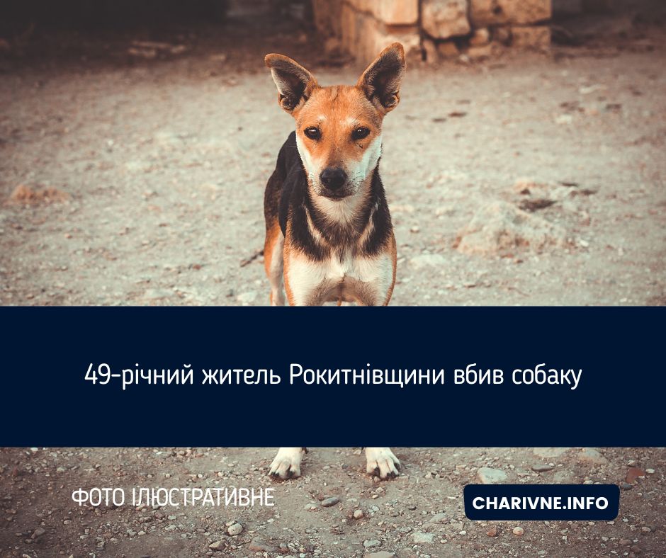 Фото ілюстративне
