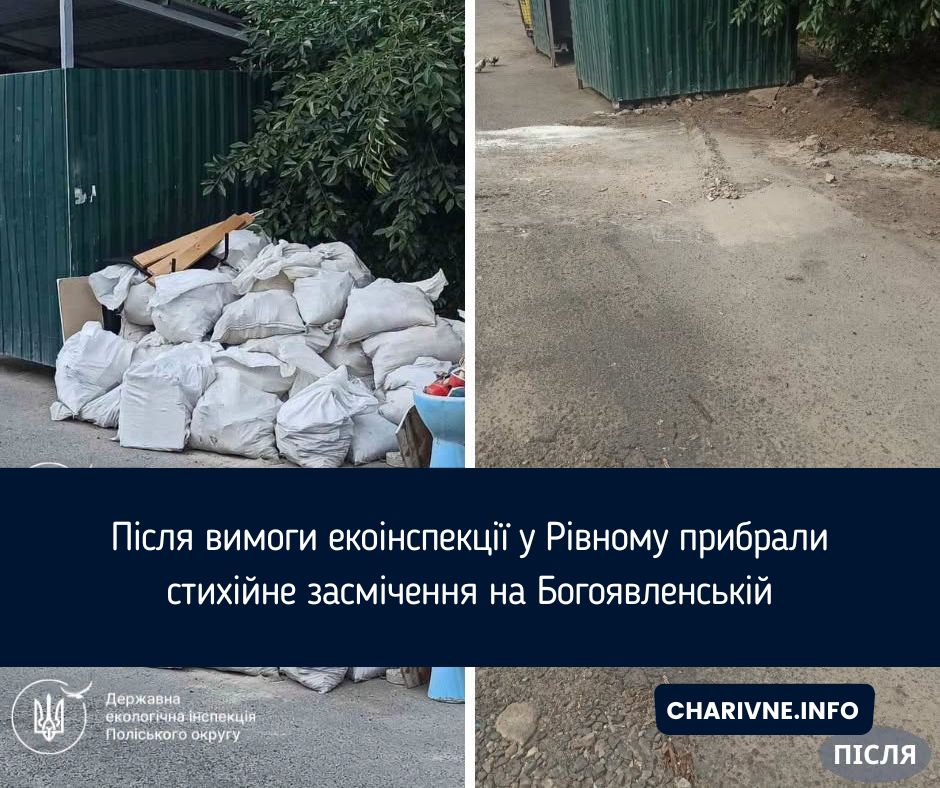 Після вимоги екоінспекції у Рівному прибрали стихійне засмічення на Богоявленській