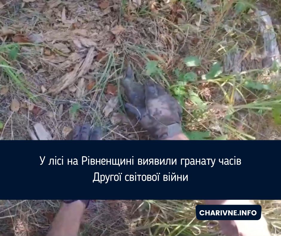 У лісі на Рівненщині виявили гранату часів Другої світової війни