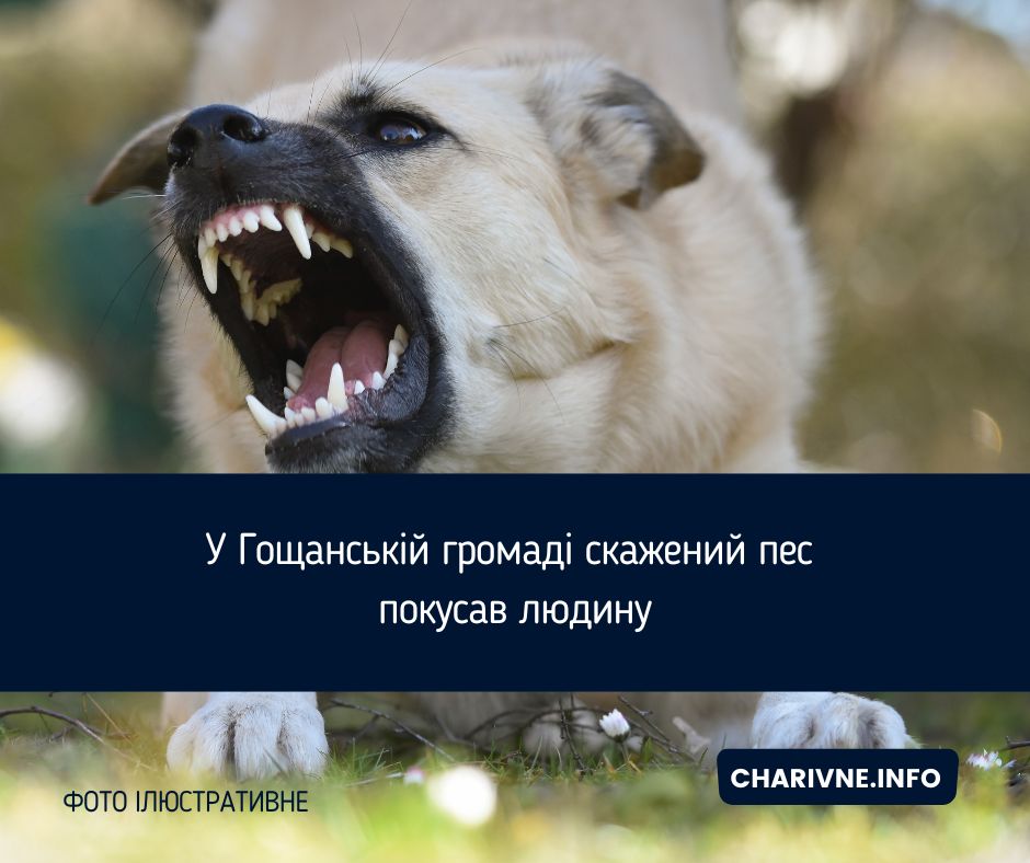 Фото ілюстративне