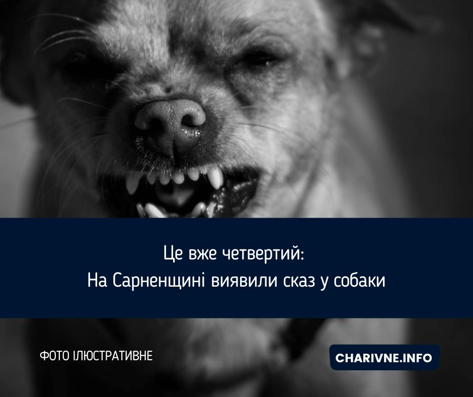 Фото ілюстративне