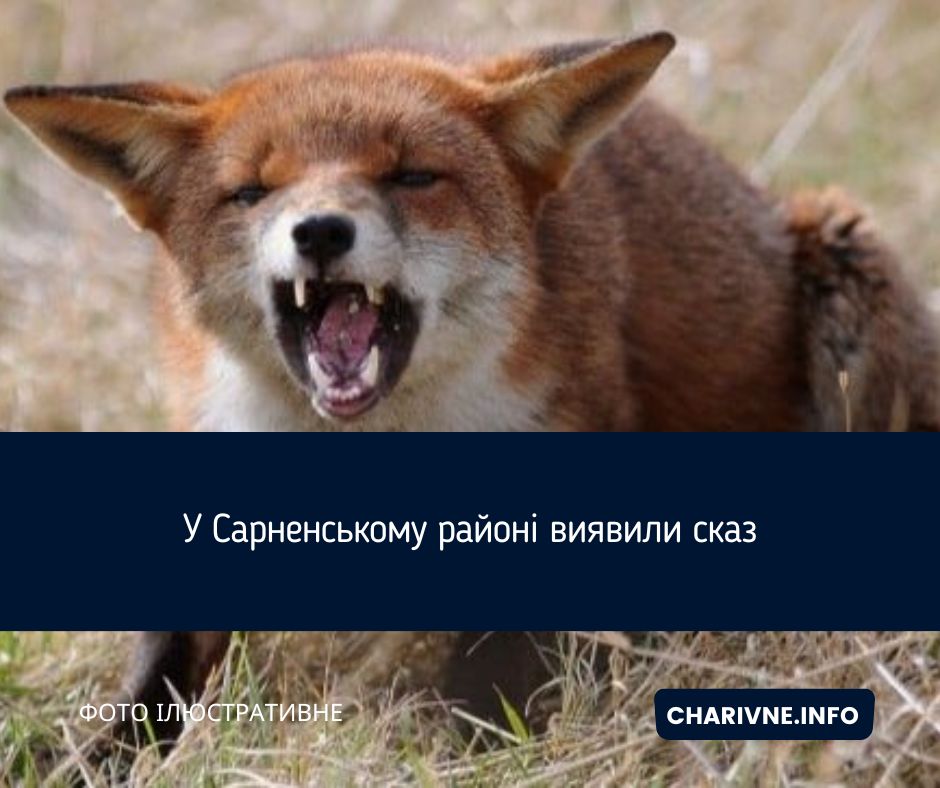 Фото ілюстративне