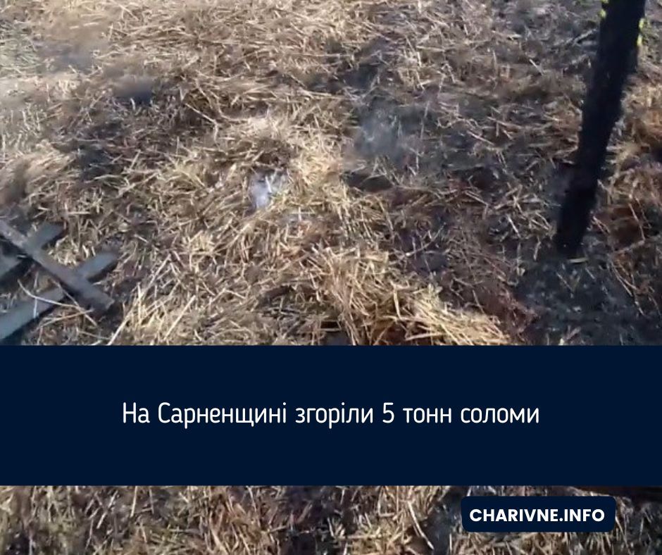 Фото ілюстративне