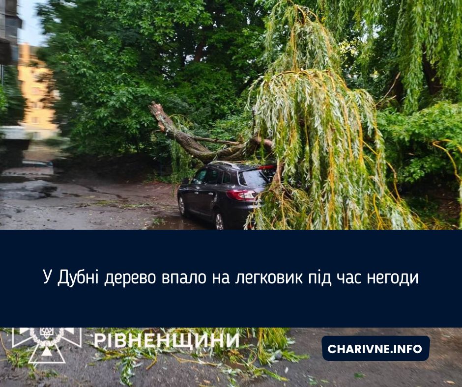 Фото ілюстративне