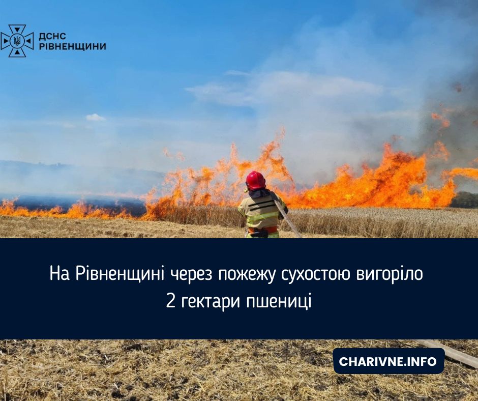 Фото ілюстративне