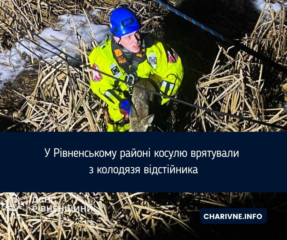 Фото ілюстративне