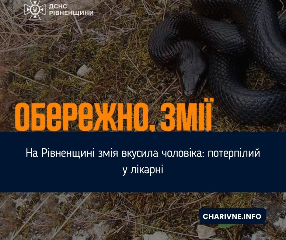 Фото ілюстративне