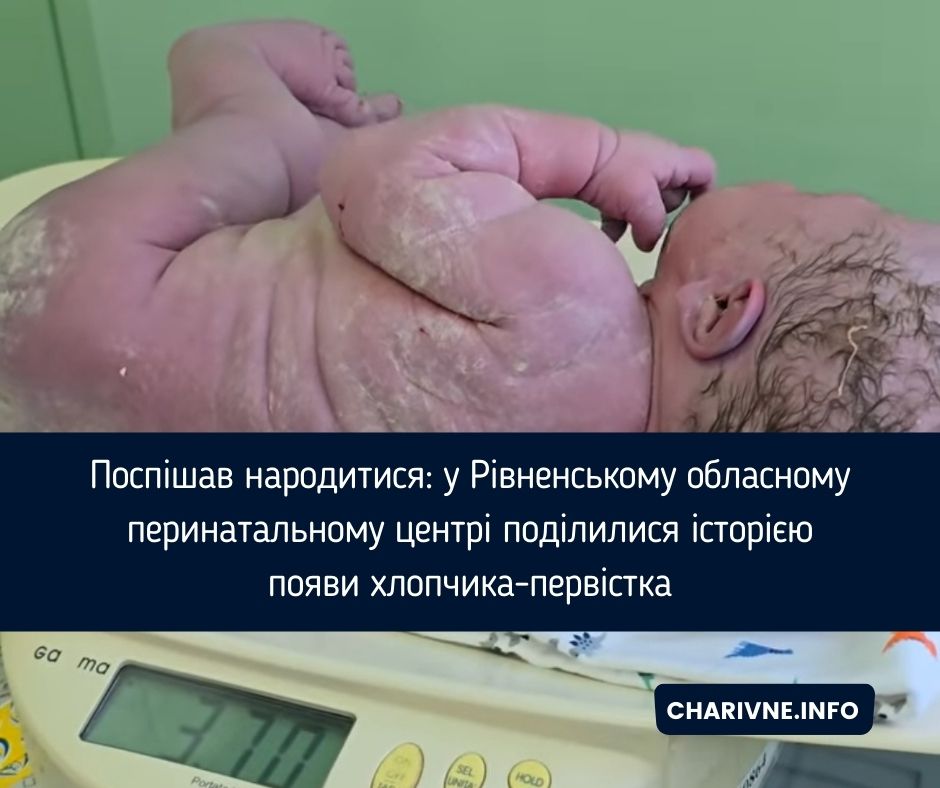 Фото ілюстративне
