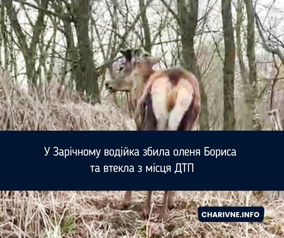 Фото ілюстративне