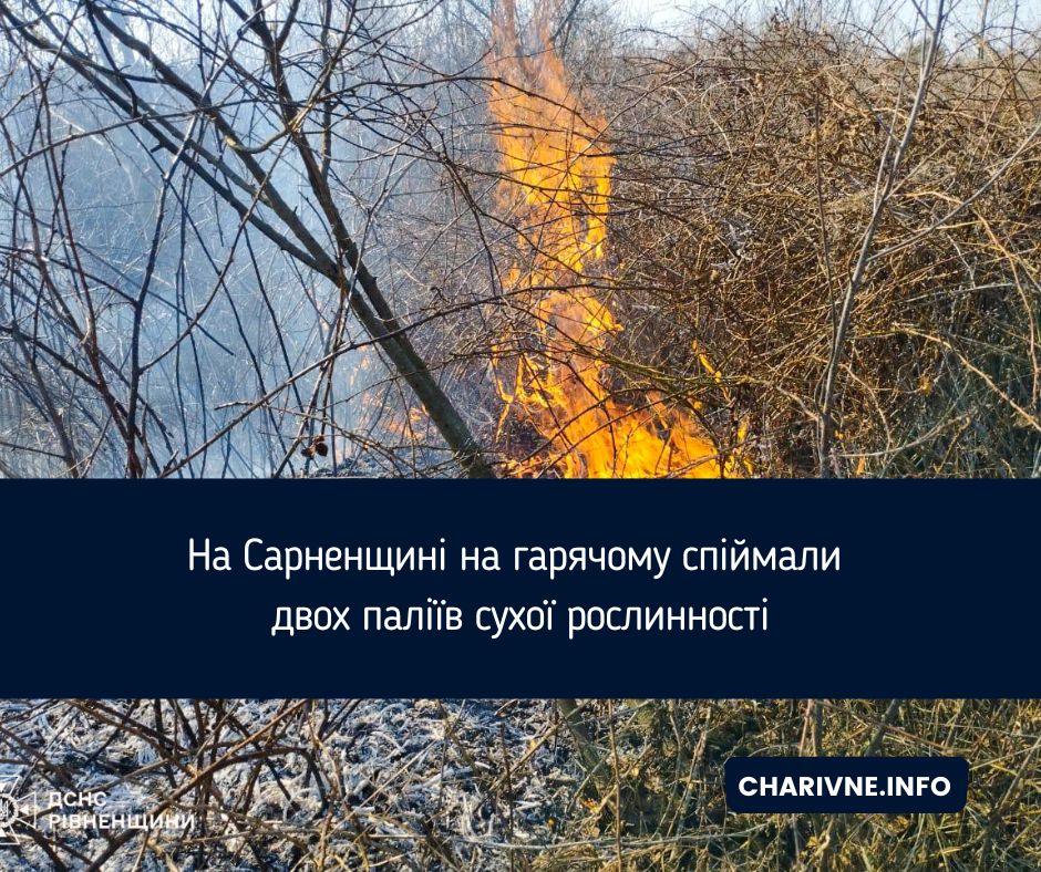 Фото ілюстративне