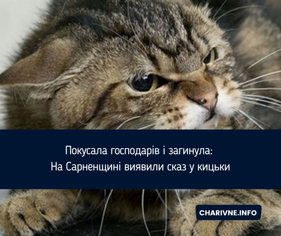 Фото ілюстративне