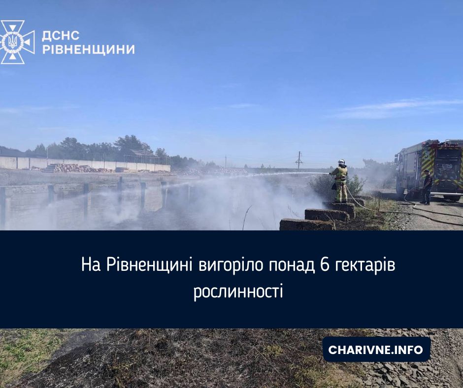 Фото ілюстративне