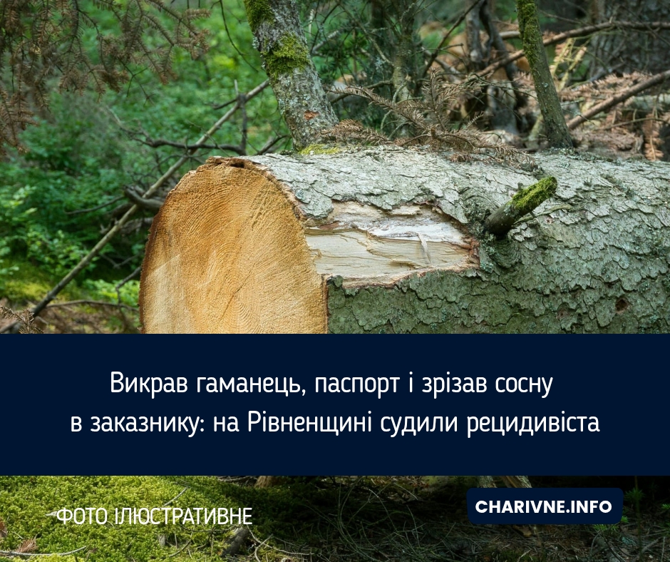 Фото ілюстративне