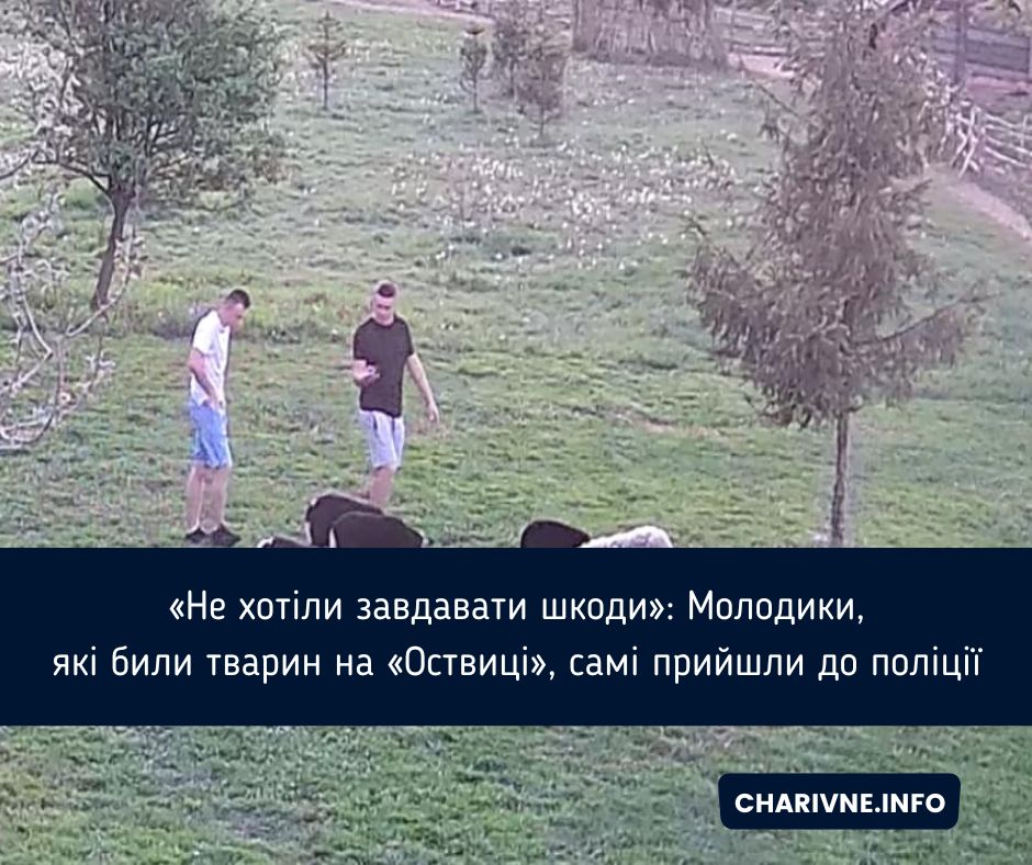 Фото ілюстративне