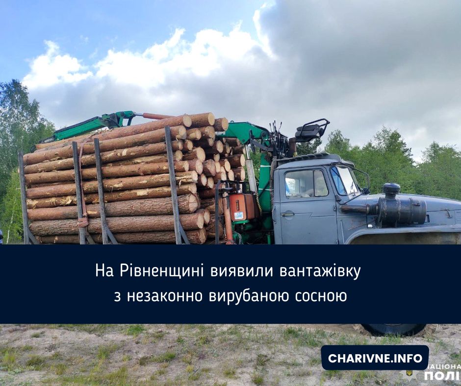 Фото ілюстративне