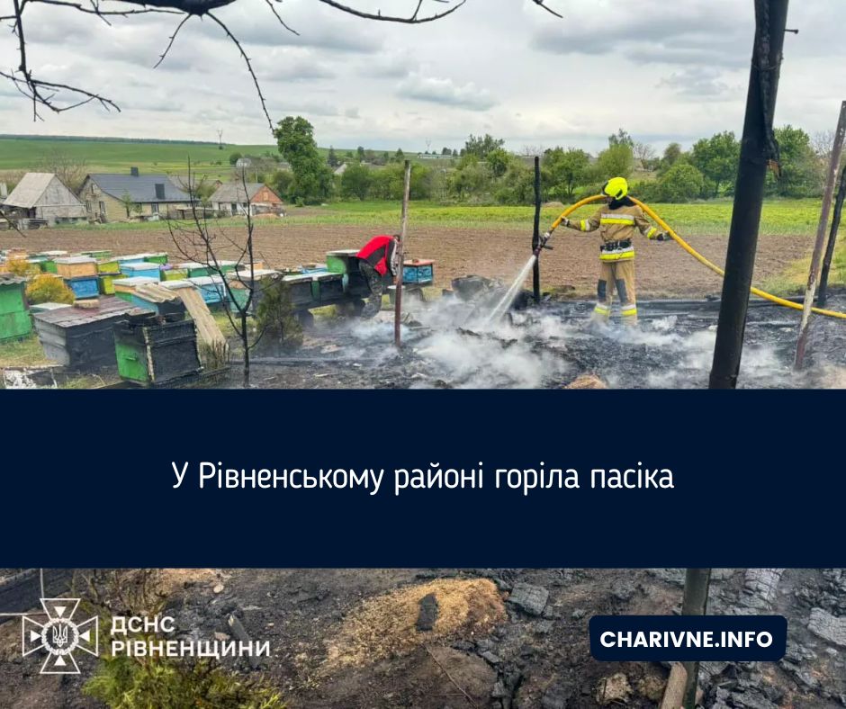 Фото ілюстративне