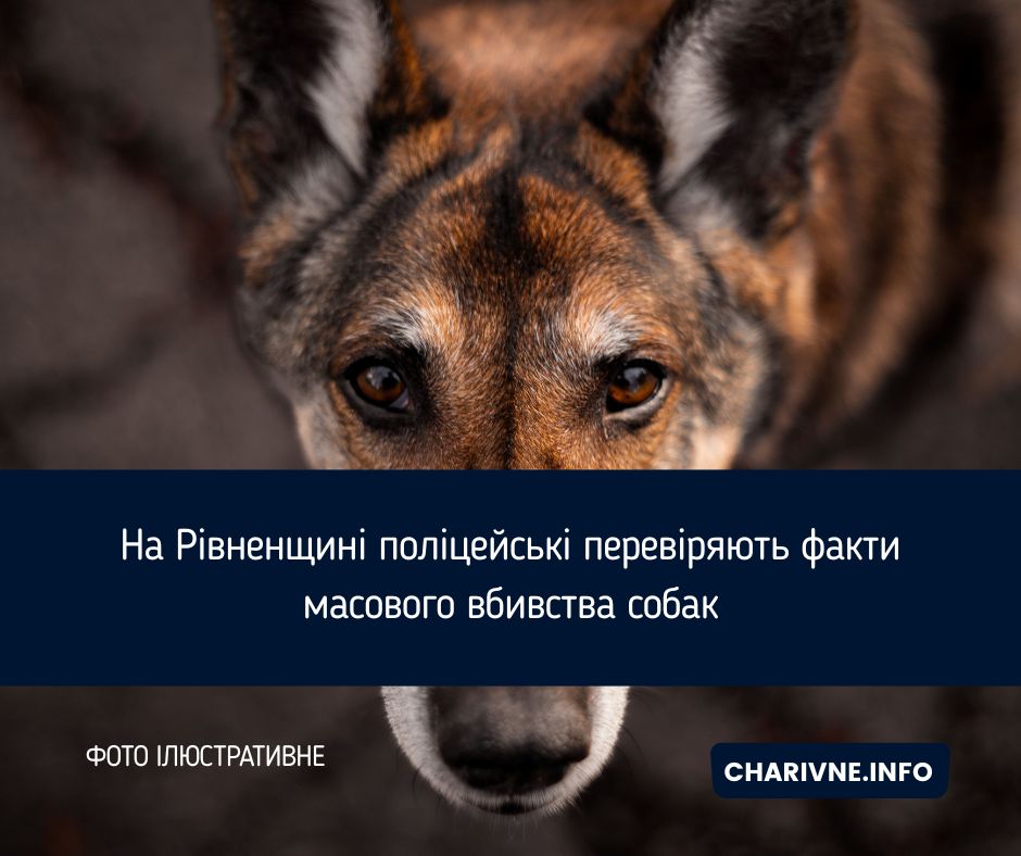 Фото ілюстративне