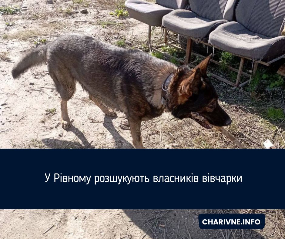 Фото ілюстративне