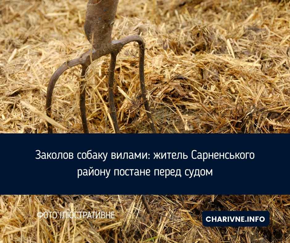 Фото ілюстративне
